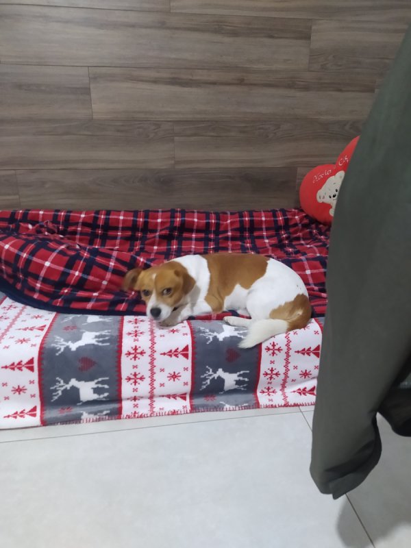 Oddam w dobre ręce - 02 Oddam w dobre ręce - 02