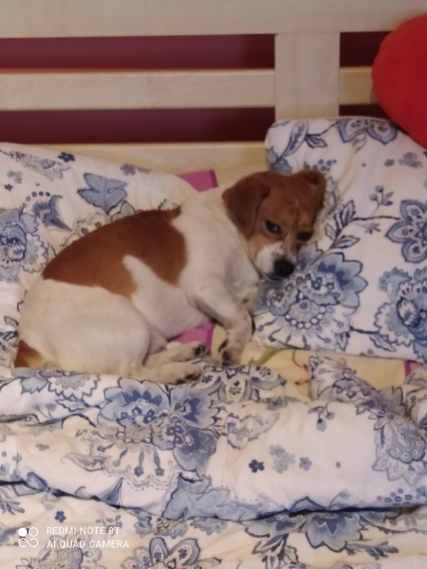 Oddam w dobre ręce - 03 Oddam w dobre ręce - 03