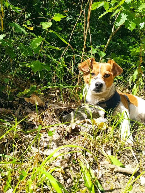 Oddam w dobre ręce - 04 Oddam w dobre ręce - 04