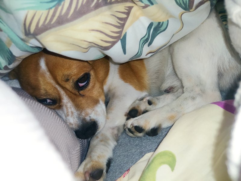 Oddam w dobre ręce - 05 Oddam w dobre ręce - 05