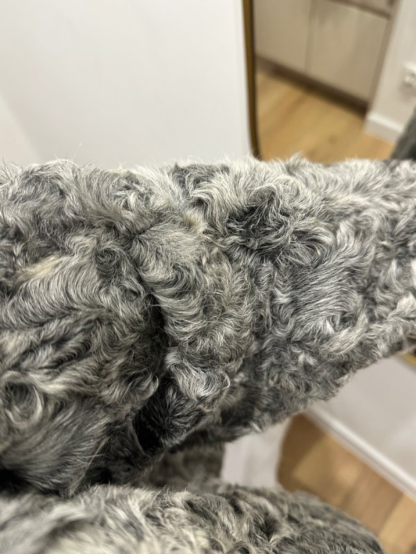 Oddam futro - 02 Oddam futro - 02