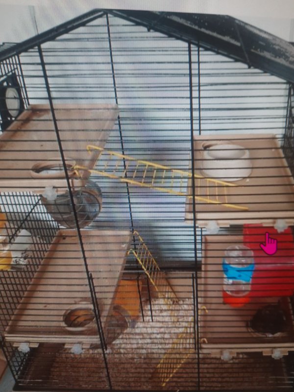 Oddam chomika - 01 Oddam chomika - 01