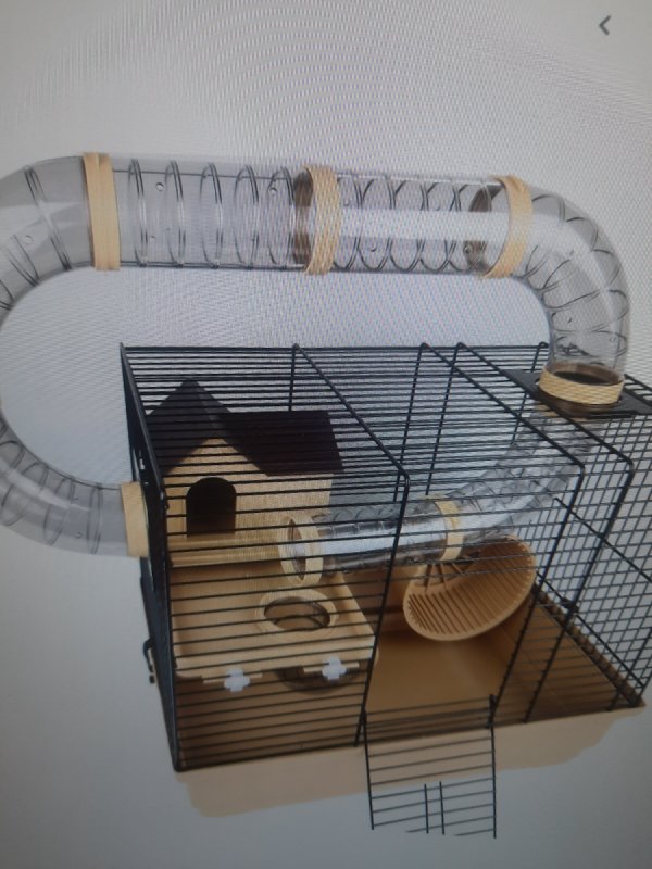 Oddam chomika - 02 Oddam chomika - 02