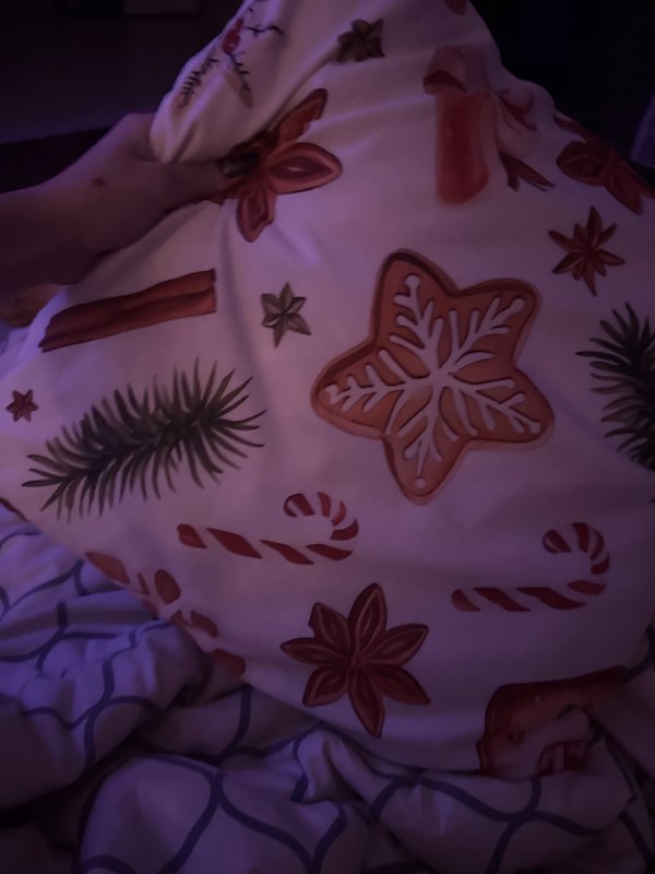 Oddam poduszkę - 01 Oddam poduszkę - 01