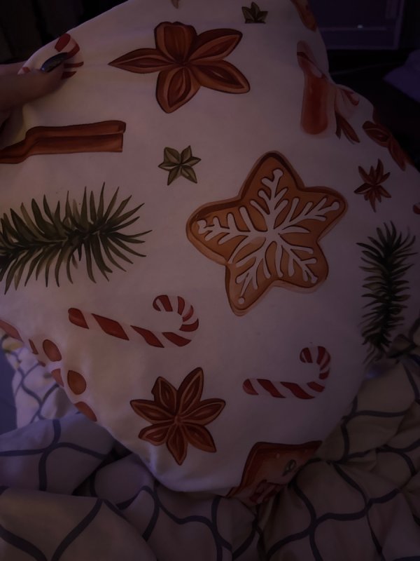 Oddam poduszkę - 02 Oddam poduszkę - 02