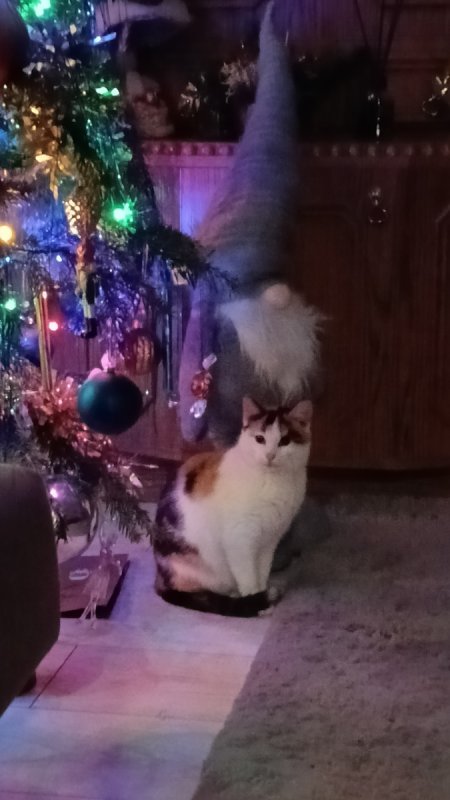 Oddam kota - 02 Oddam kota - 02