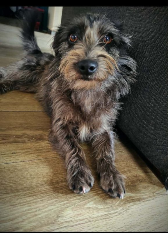 Siostry szukaja domu.