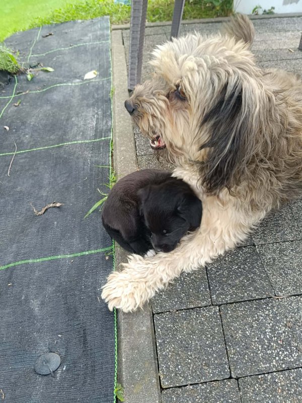 Siostry szukaja domu. - 02 Siostry szukaja domu. - 02