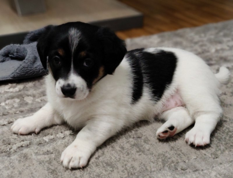 Oddam bo muszę - 01 Oddam bo muszę - 01