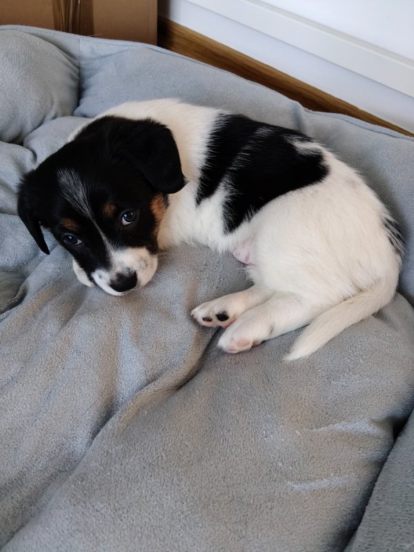 Oddam bo muszę - 02 Oddam bo muszę - 02