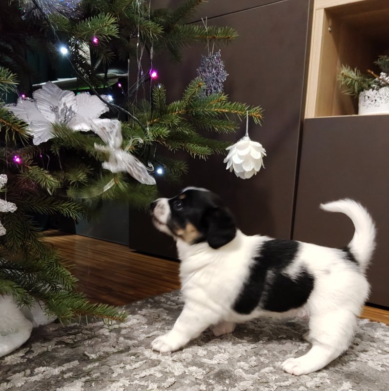 Oddam bo muszę - 03 Oddam bo muszę - 03