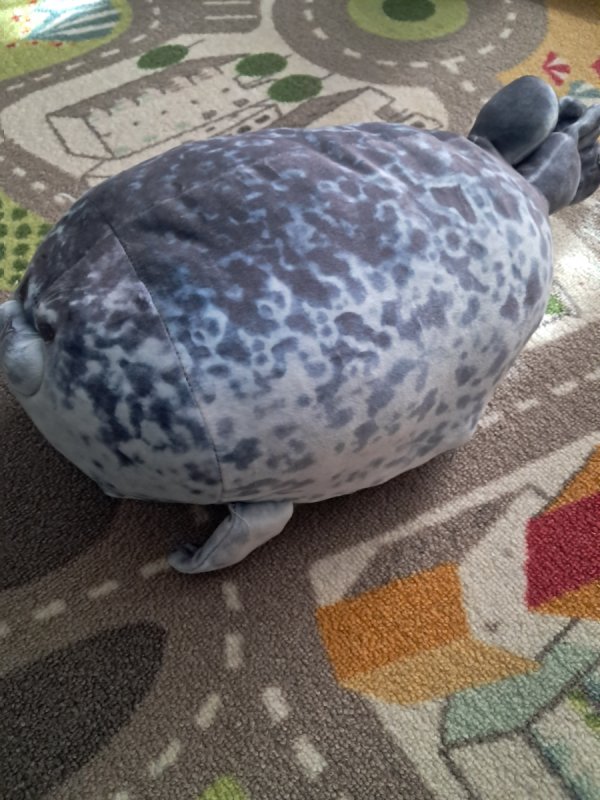 Oddam pluszowa fokę