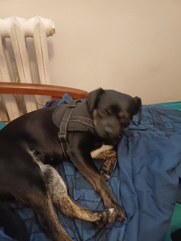 Oddam w dobre ręce.