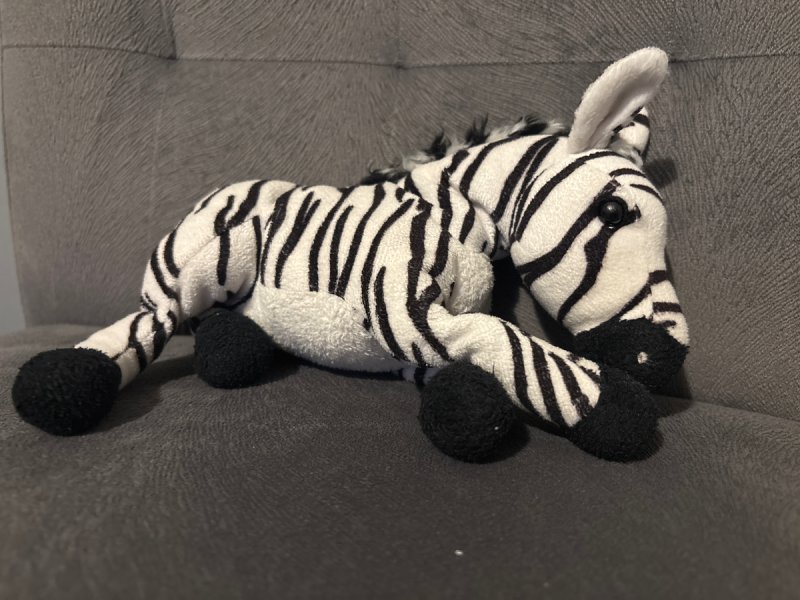 Maskotka zebra