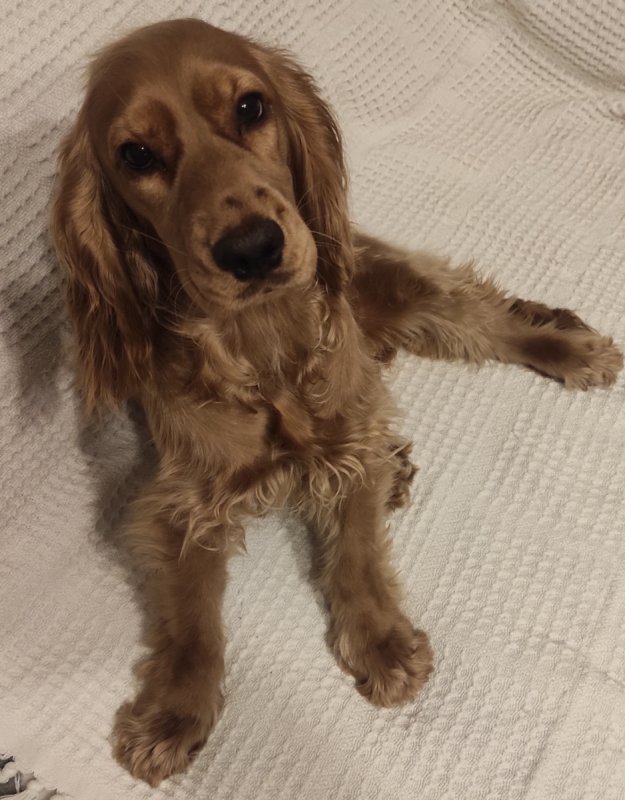 Oddam w dobre ręce. - 01