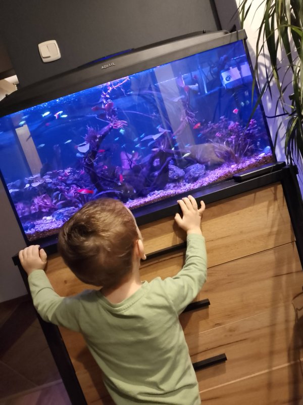 Akwarium - 02 Akwarium - 02