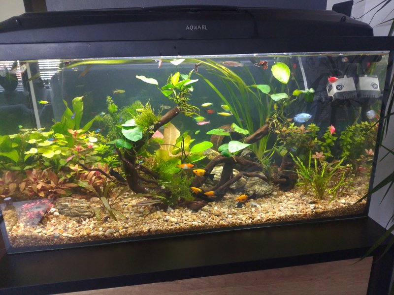 Akwarium - 03 Akwarium - 03