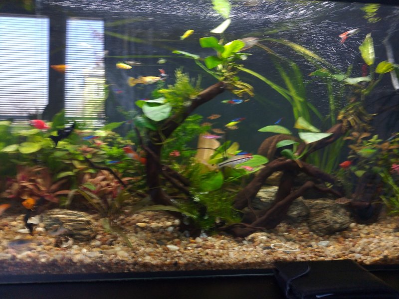 Akwarium - 05 Akwarium - 05