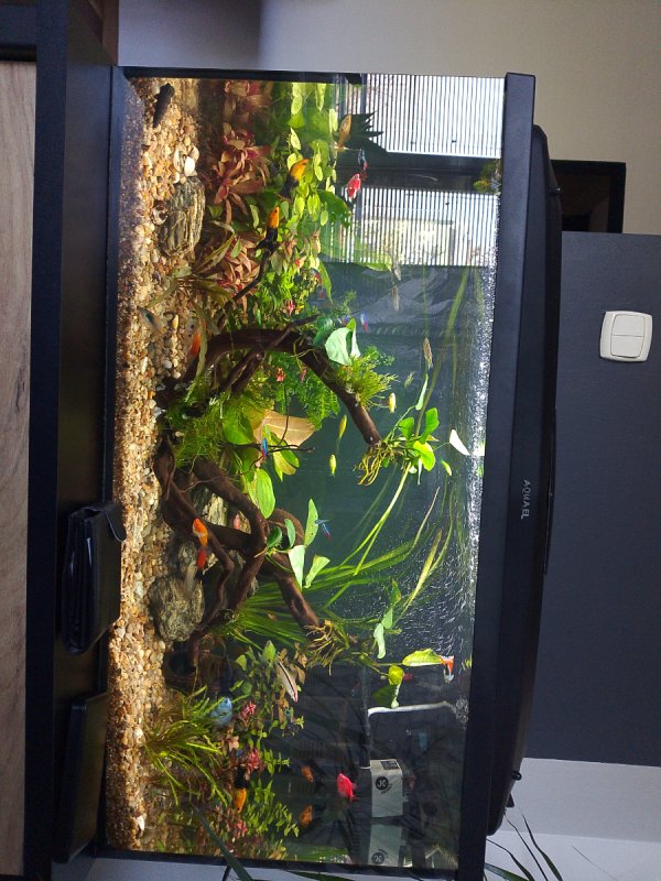 Akwarium - 06 Akwarium - 06